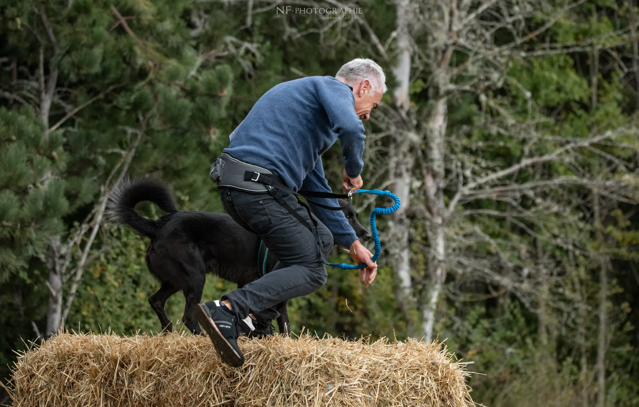 Cani-Parcours - Édition 2024 - Canifun