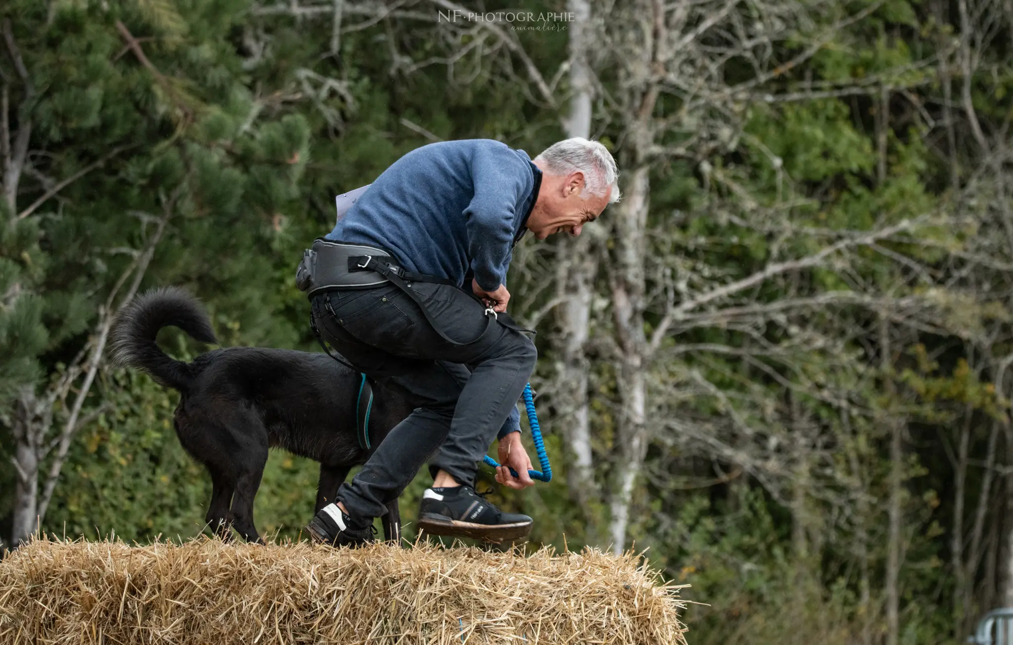 Cani-Parcours - Édition 2024 - Canifun