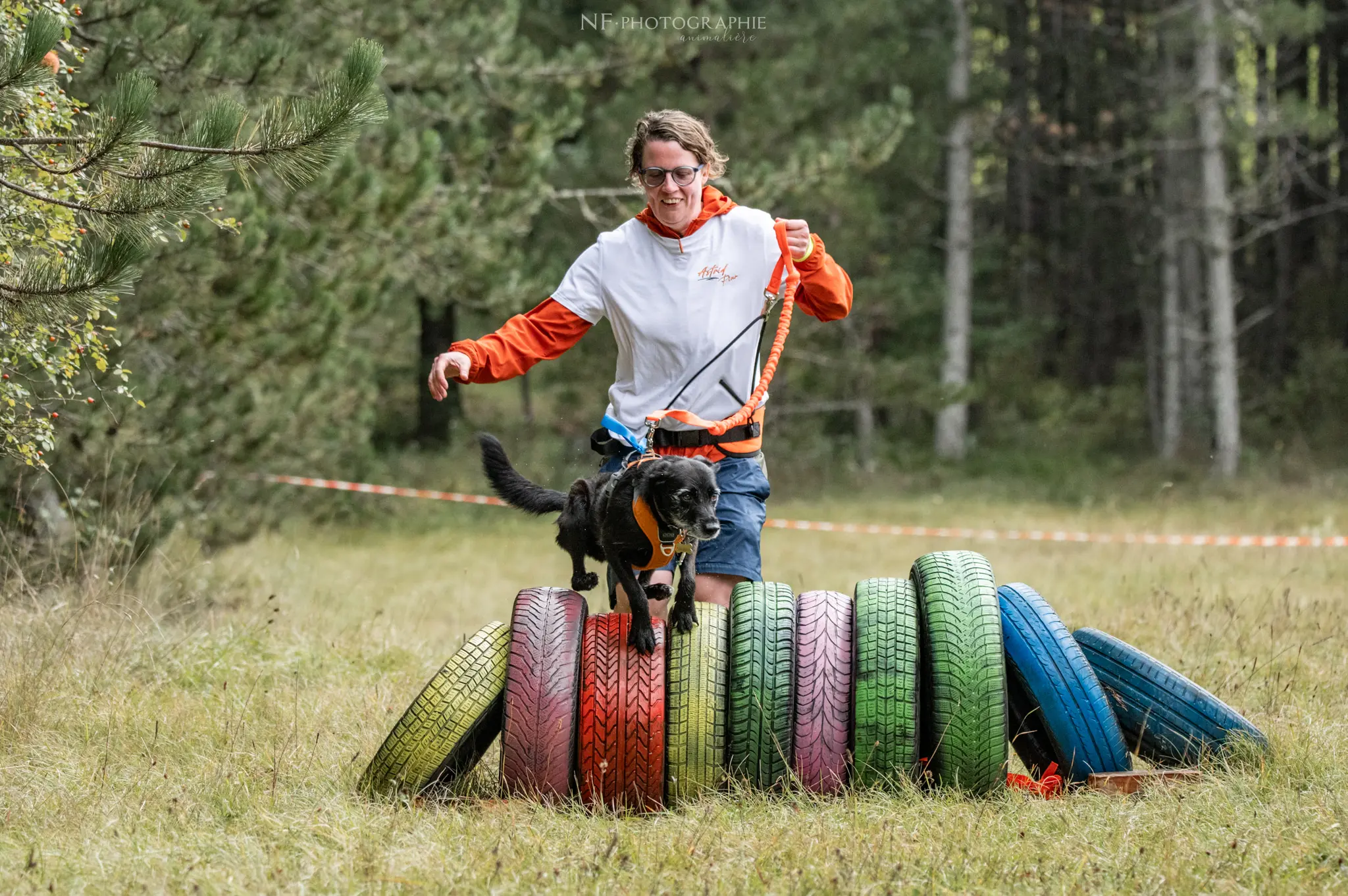 Cani-Parcours - Édition 2024 - Canifun