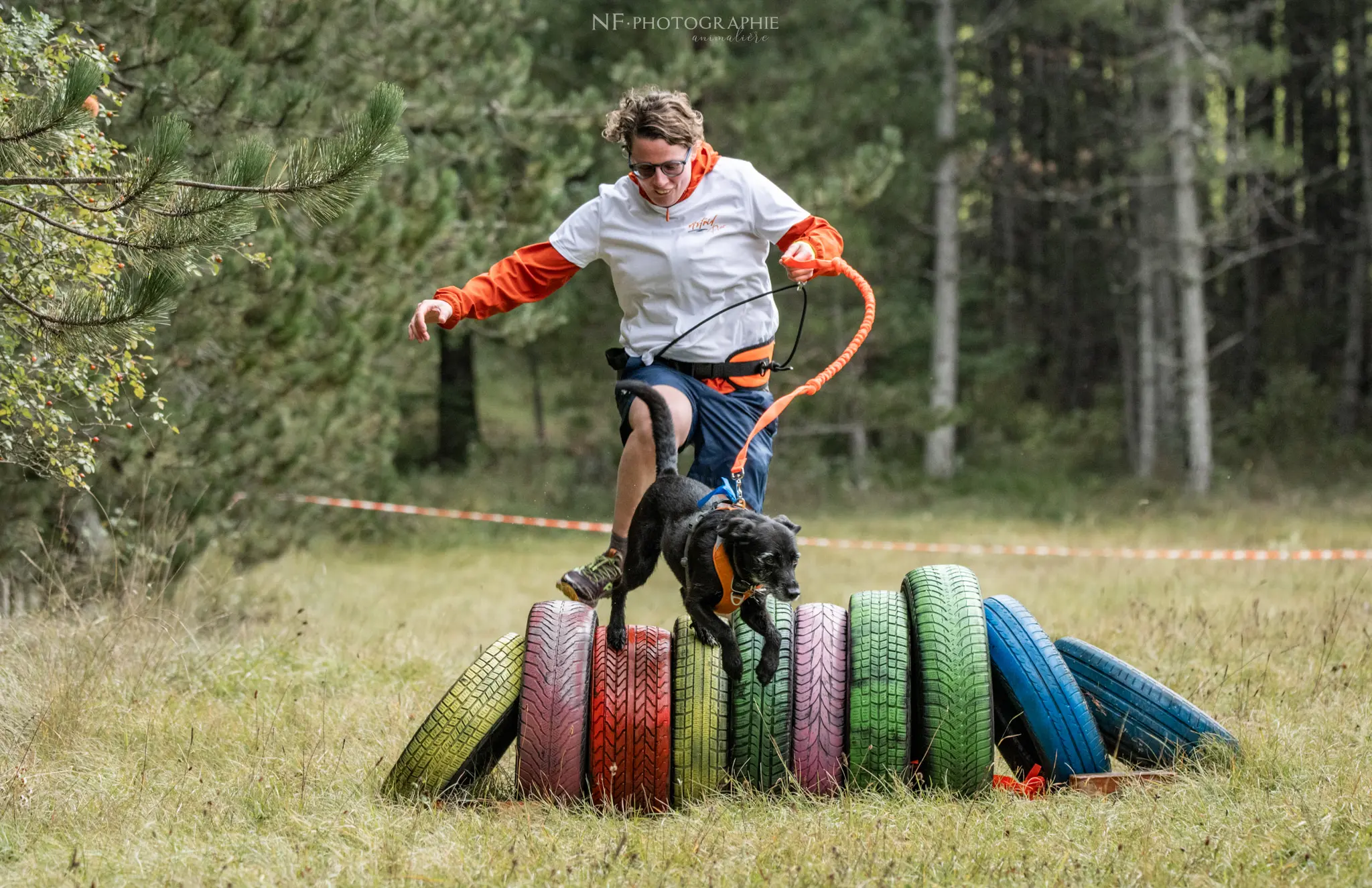 Cani-Parcours - Édition 2024 - Canifun