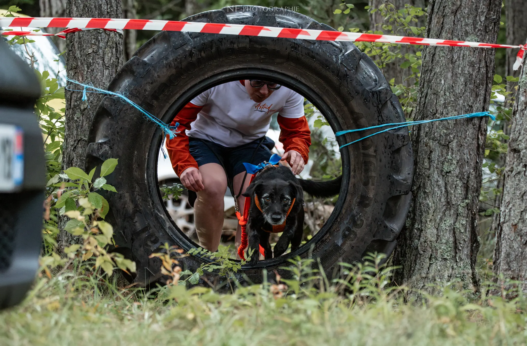 Cani-Parcours - Édition 2024 - Canifun