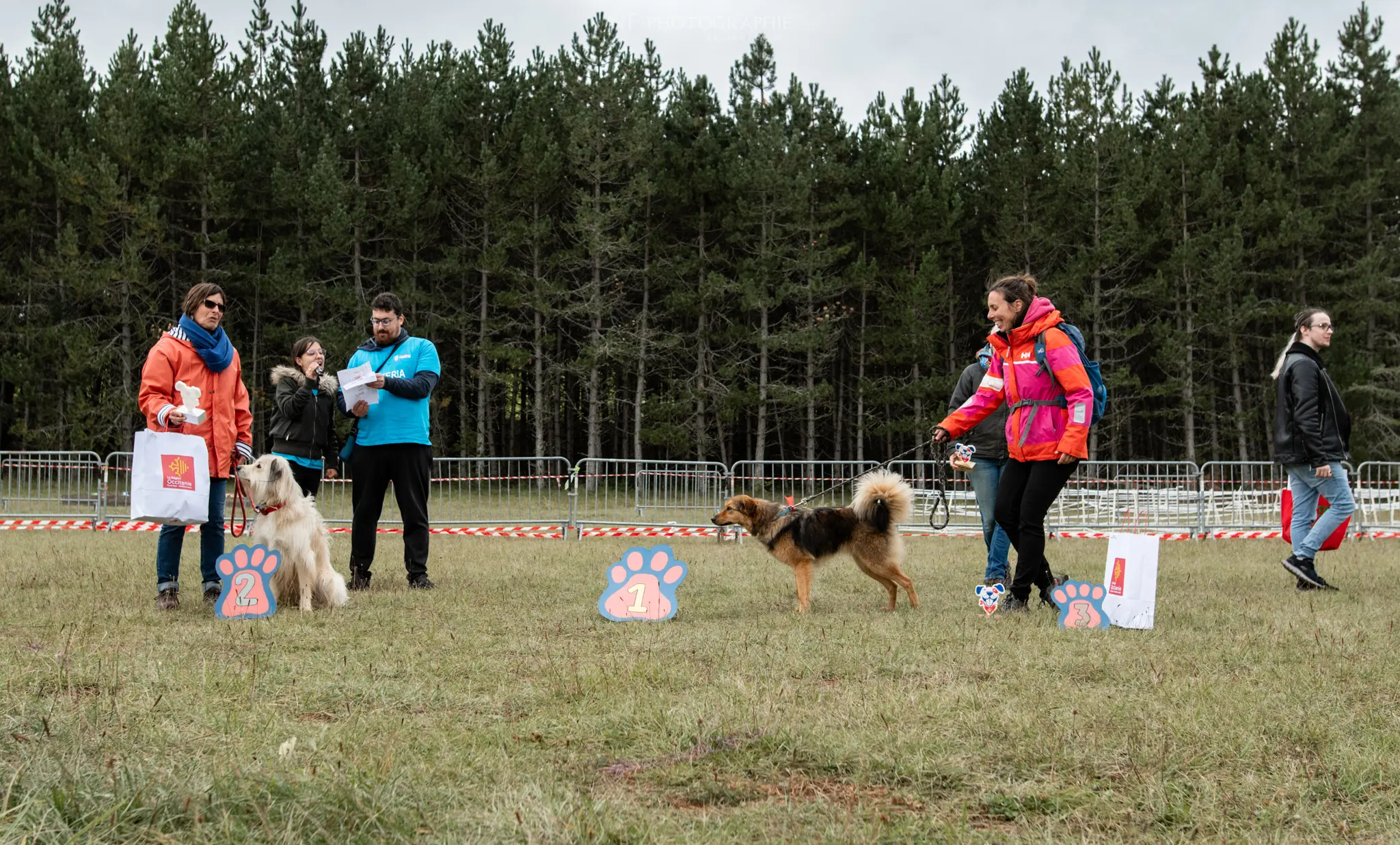 Cani-Parcours - Édition 2024 - Canifun