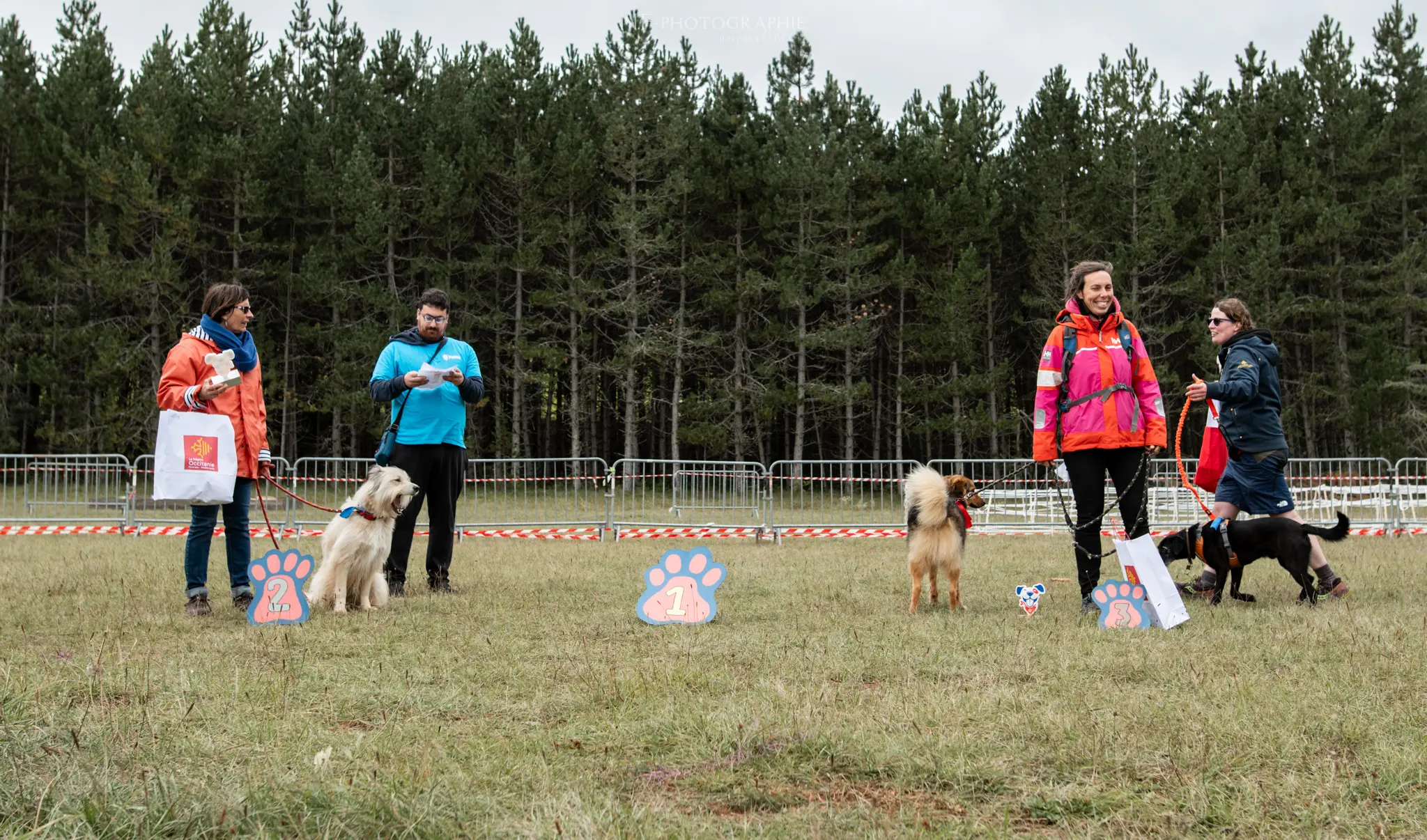 Cani-Parcours - Édition 2024 - Canifun