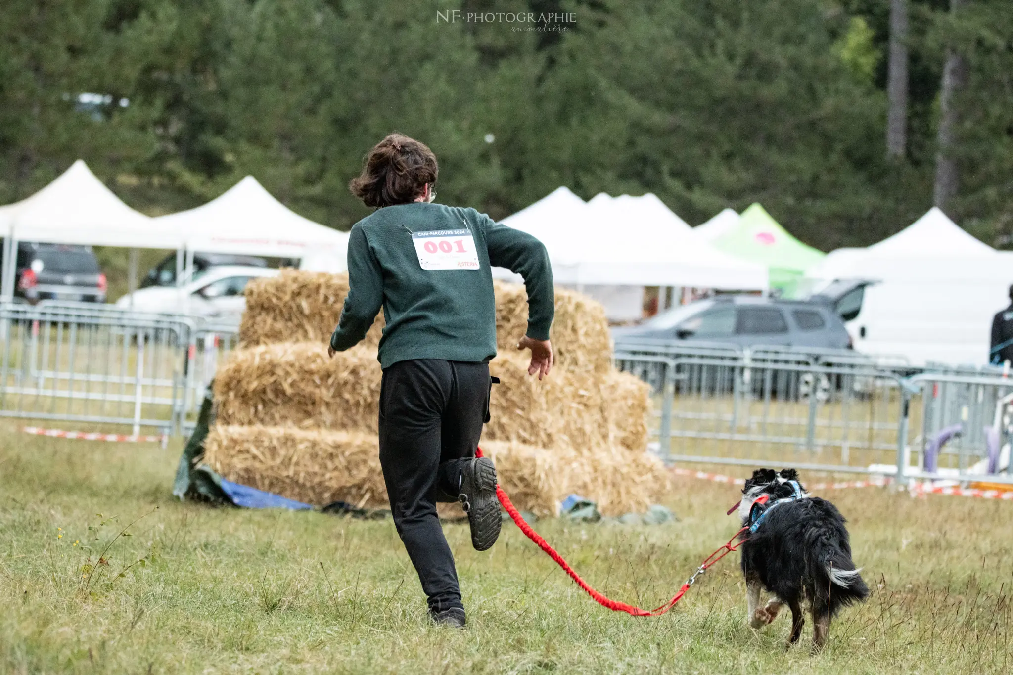 Cani-Parcours - Édition 2024 - Canifun