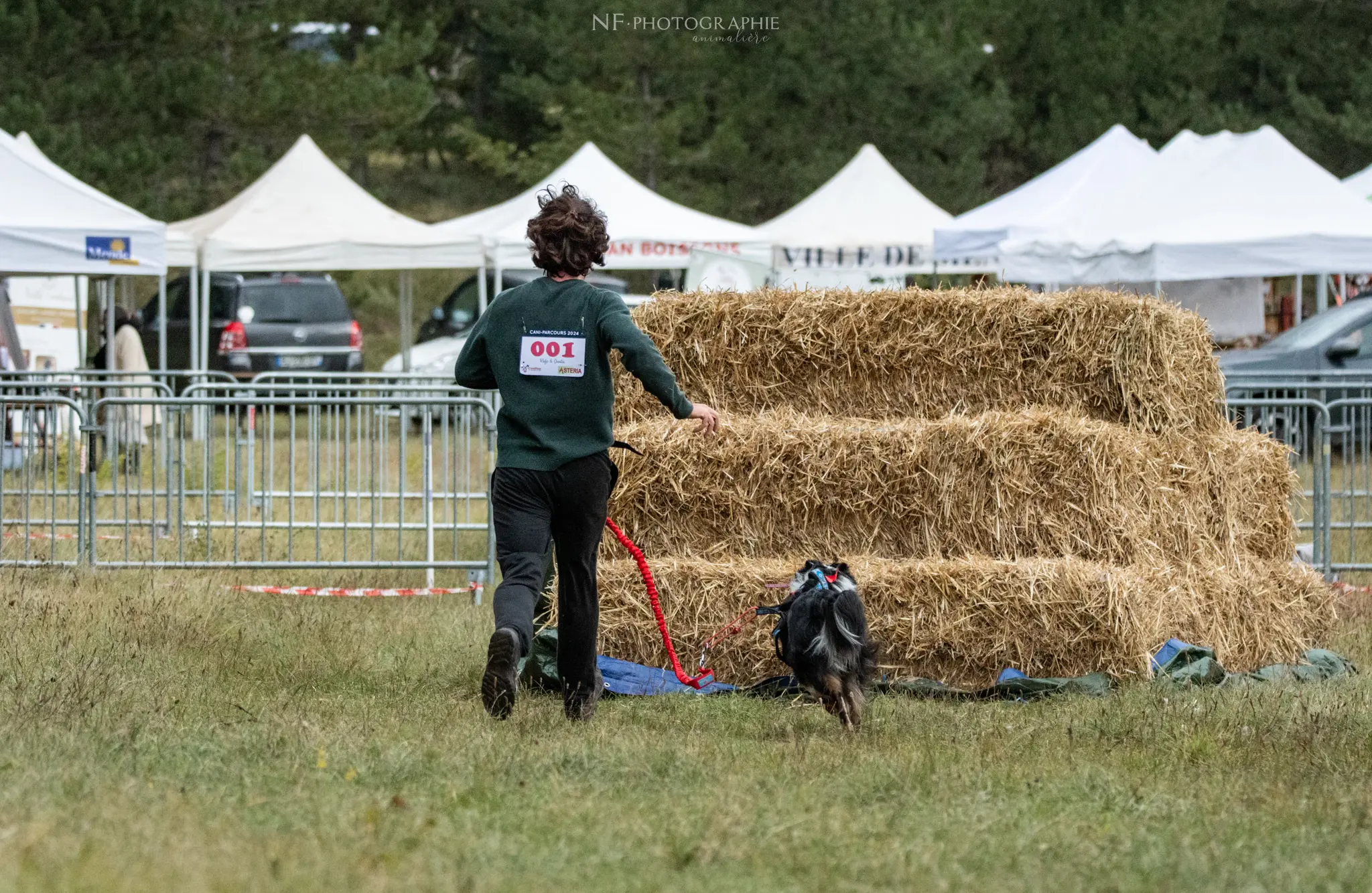 Cani-Parcours - Édition 2024 - Canifun