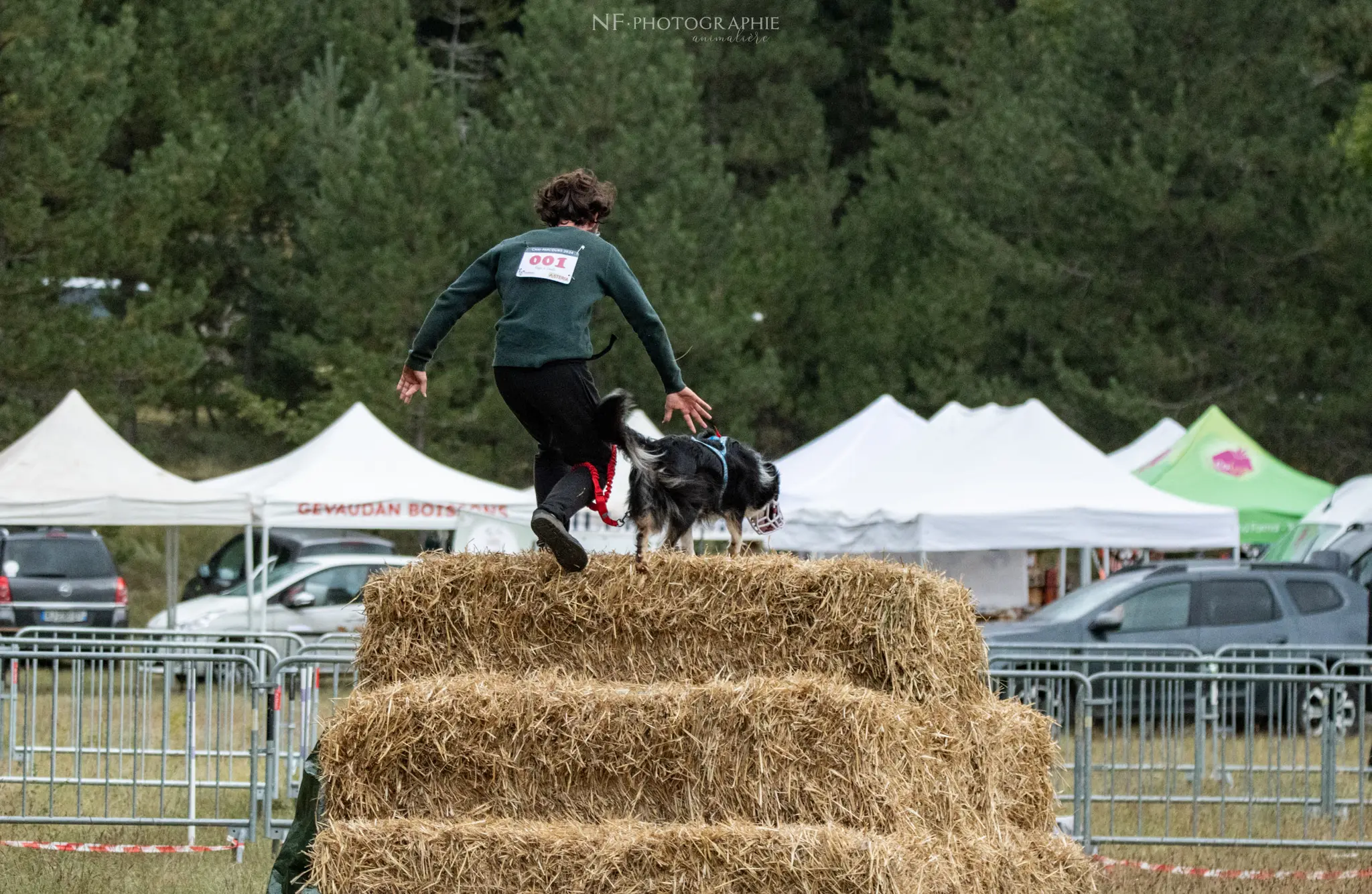 Cani-Parcours - Édition 2024 - Canifun