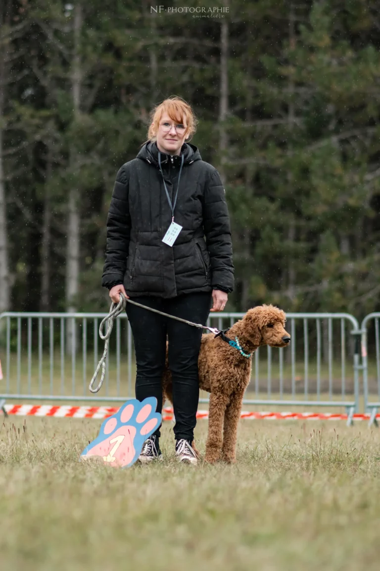 Concours de Beauté - Édition 2024 - Canifun