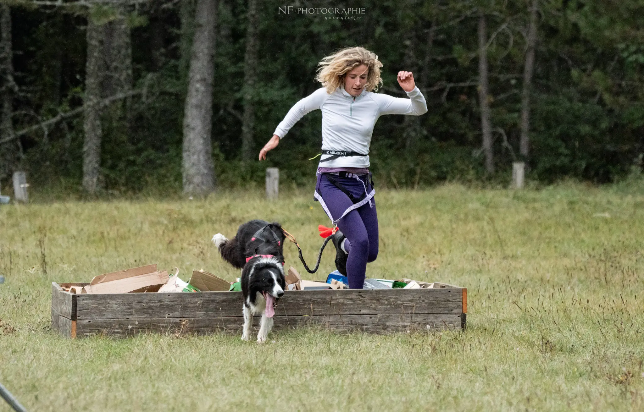 Cani-Parcours - Édition 2024 - Canifun