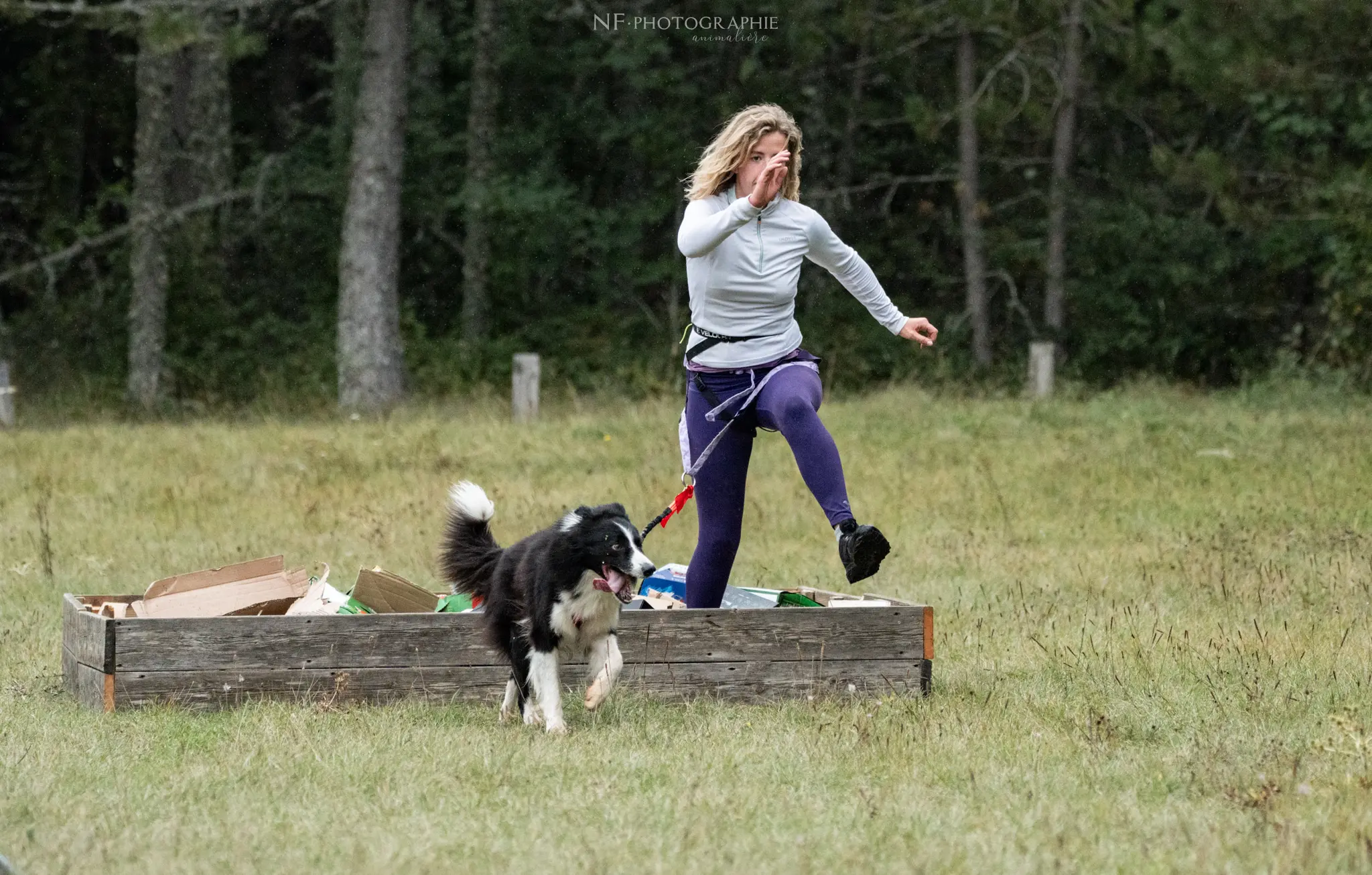 Cani-Parcours - Édition 2024 - Canifun