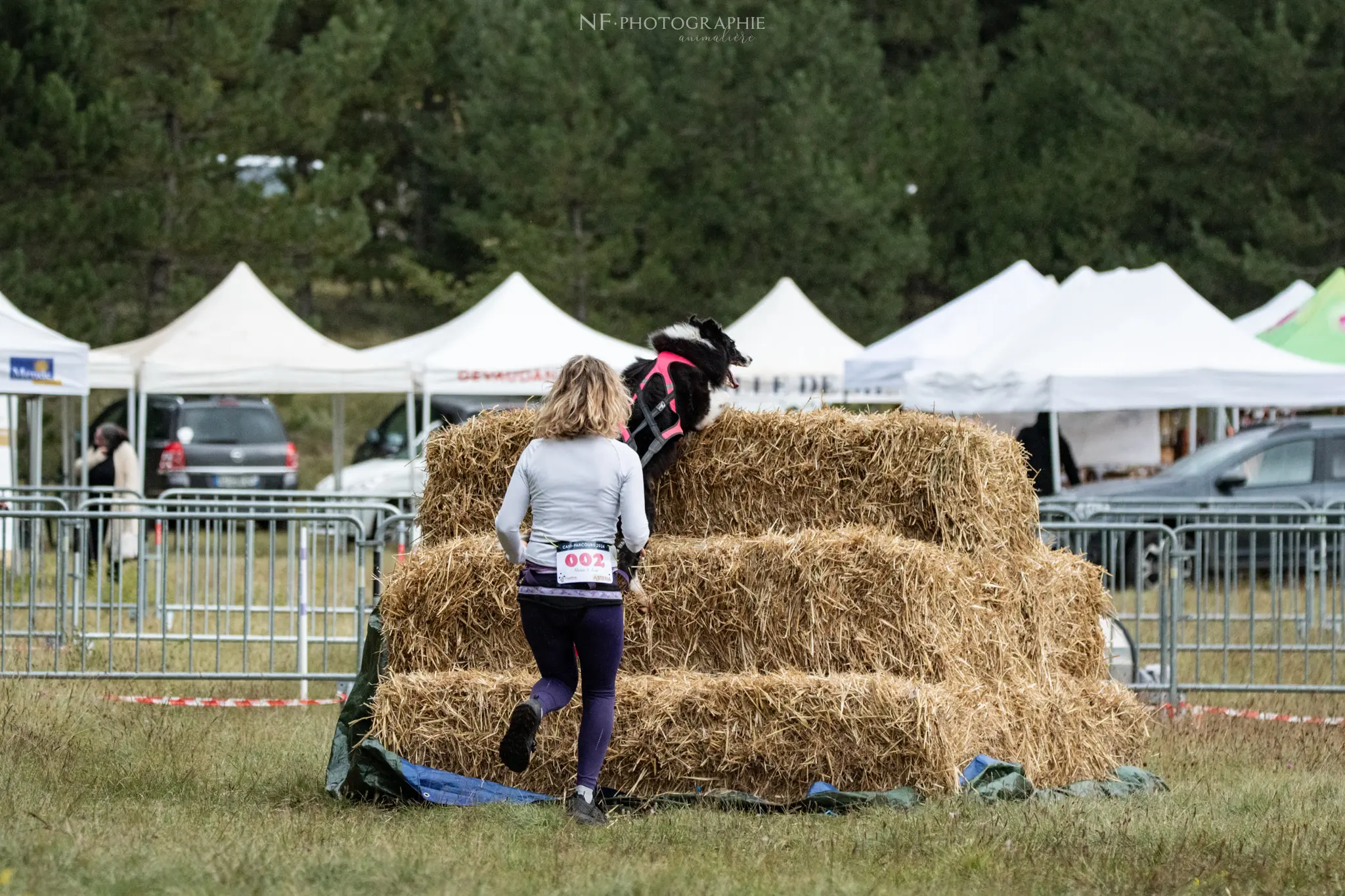 Cani-Parcours - Édition 2024 - Canifun