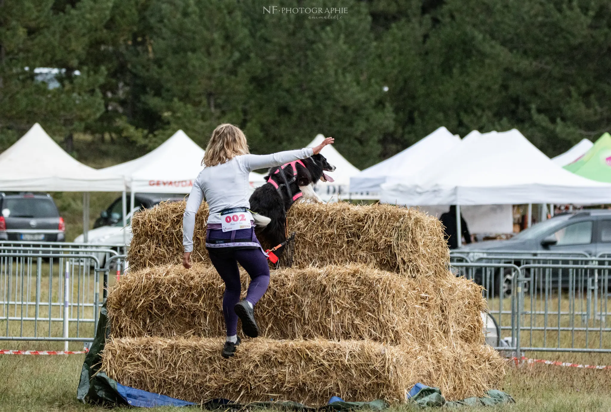 Cani-Parcours - Édition 2024 - Canifun