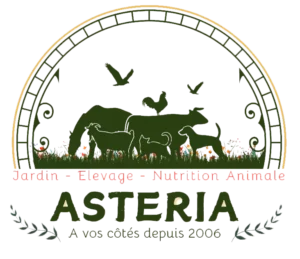 Asteria