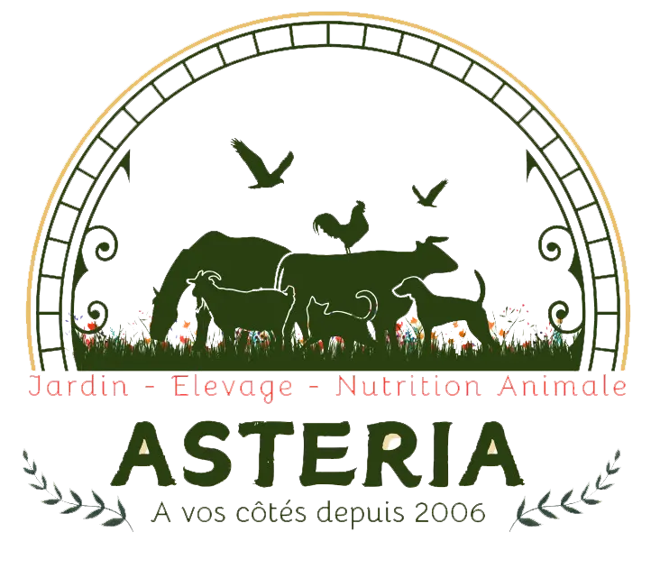 Asteria