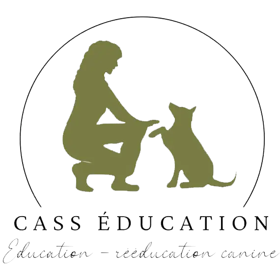 Cass Éducation