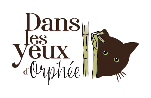 Dans les yeux d'Orphée