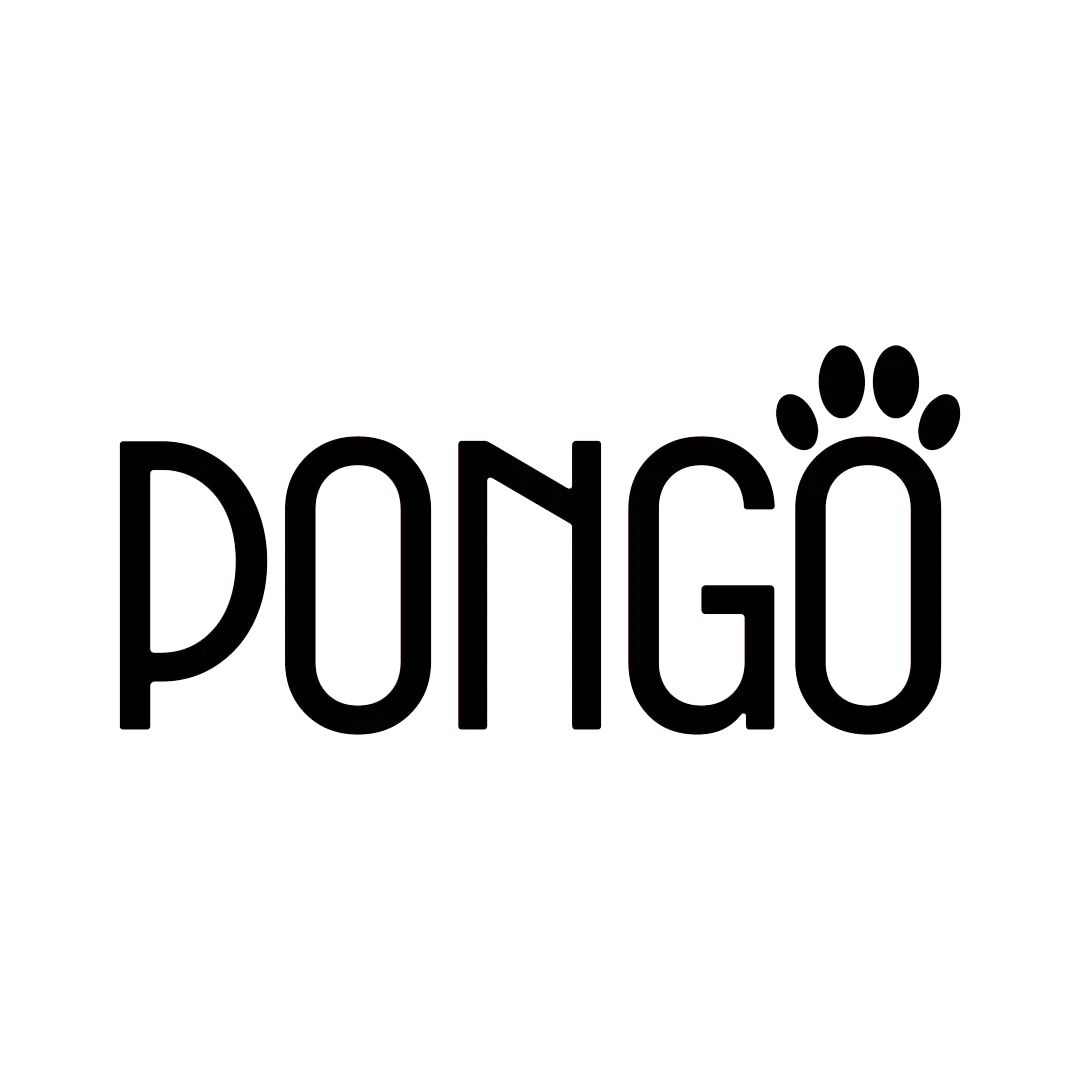 Pongo
