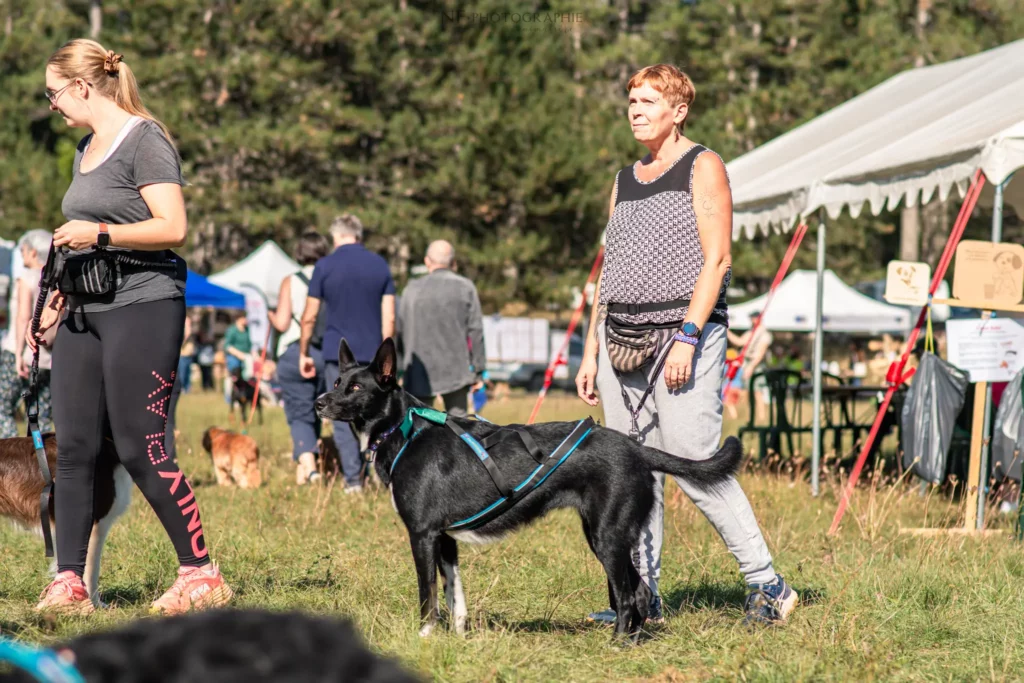 Cani-Cross - Édition 2025 - Canifun