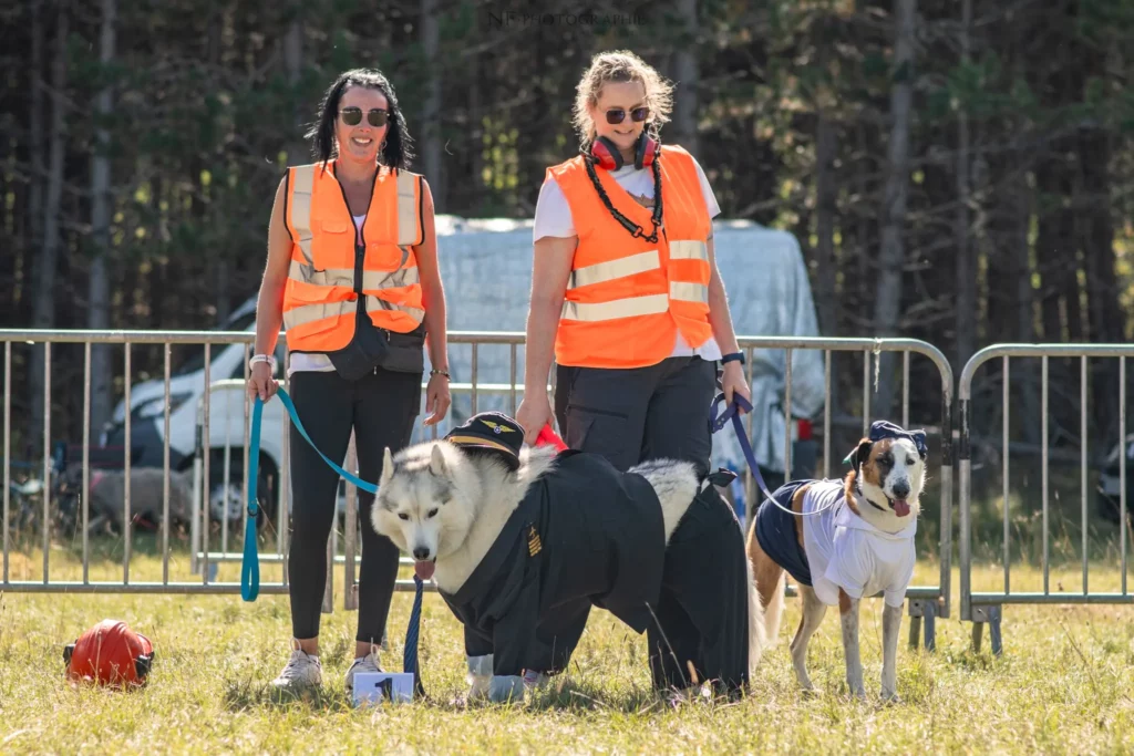 Défilé de Déguisements - Édition 2025 - Canifun