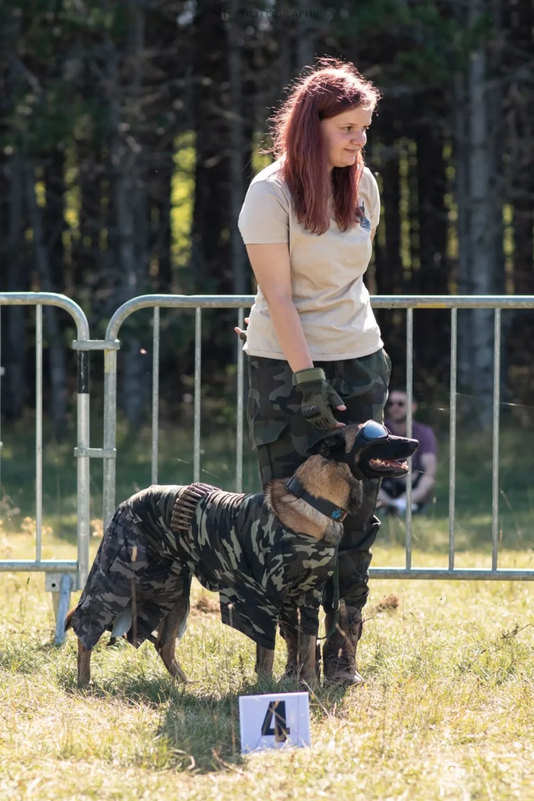 Défilé de Déguisements - Édition 2025 - Canifun