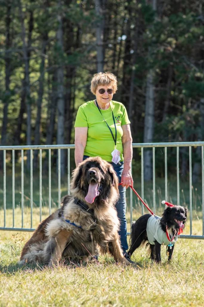 Défilé de Déguisements - Édition 2025 - Canifun