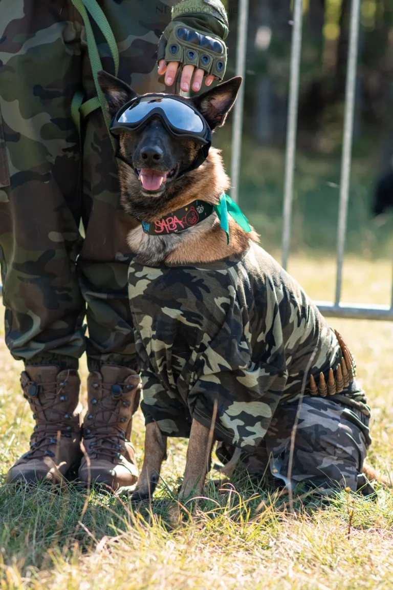 Défilé de Déguisements - Édition 2025 - Canifun