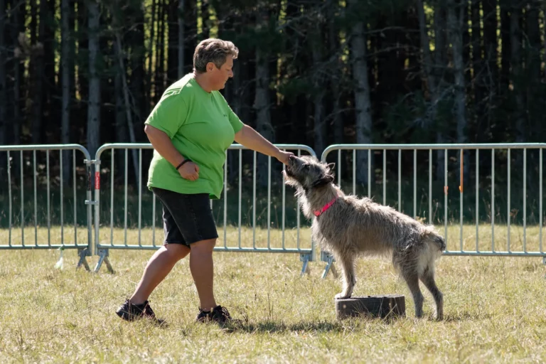 Dog Dancing - Édition 2025 - Canifun