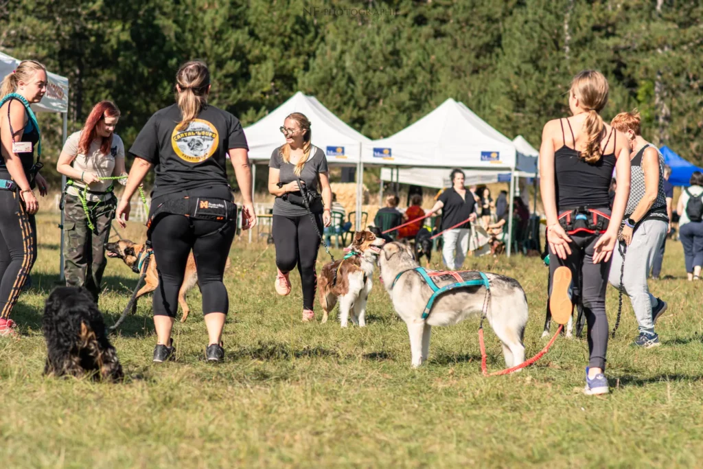 Cani-Cross - Édition 2025 - Canifun