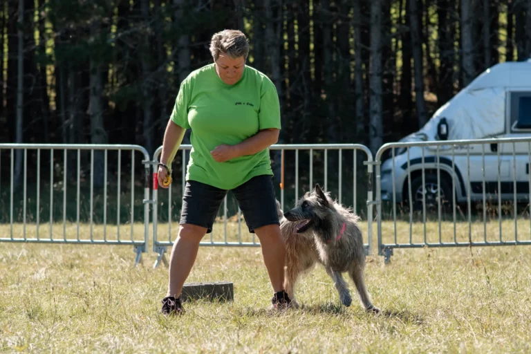 Dog Dancing - Édition 2025 - Canifun