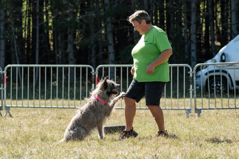 Dog Dancing - Édition 2025 - Canifun