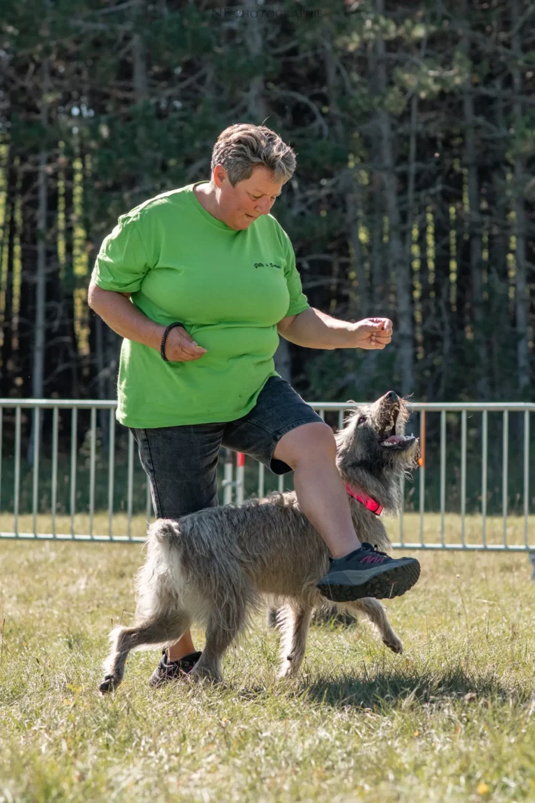 Dog Dancing - Édition 2025 - Canifun