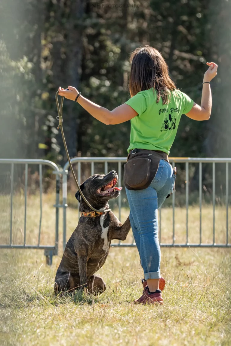 Dog Dancing - Édition 2025 - Canifun