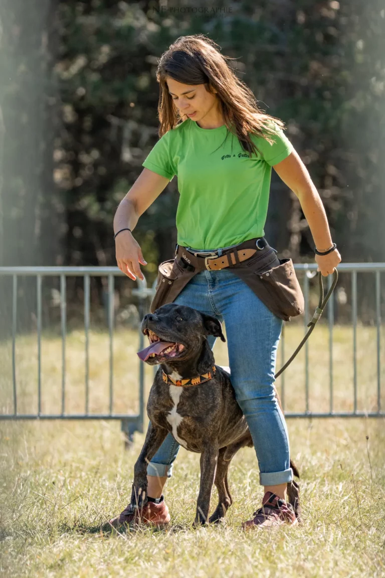 Dog Dancing - Édition 2025 - Canifun