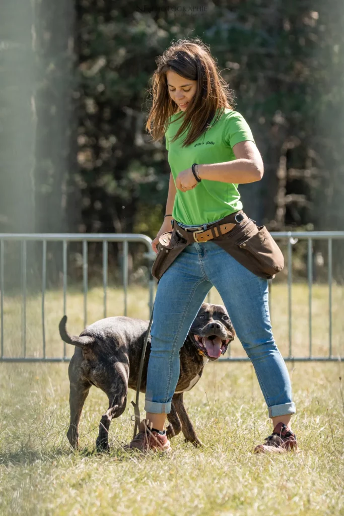 Dog Dancing - Édition 2025 - Canifun