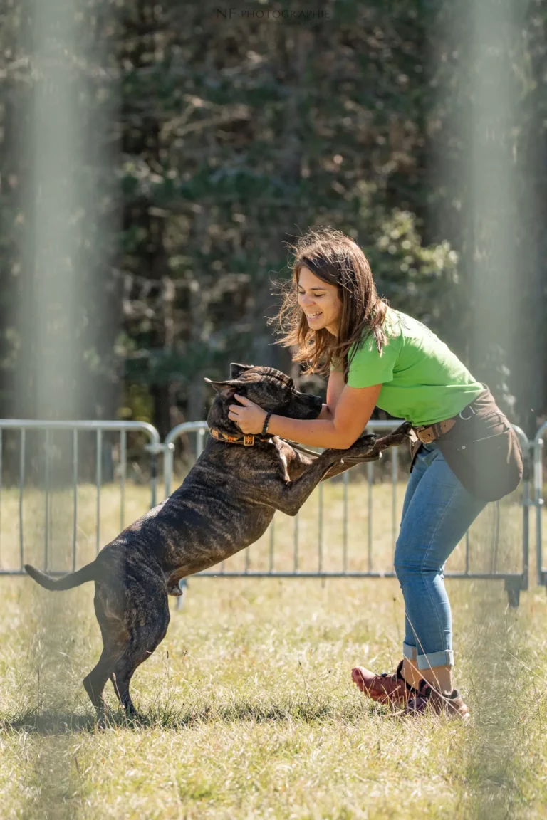 Dog Dancing - Édition 2025 - Canifun