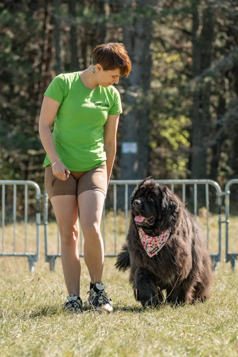 Dog Dancing - Édition 2025 - Canifun