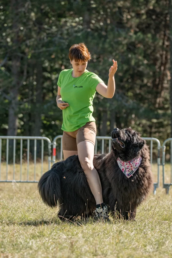 Dog Dancing - Édition 2025 - Canifun