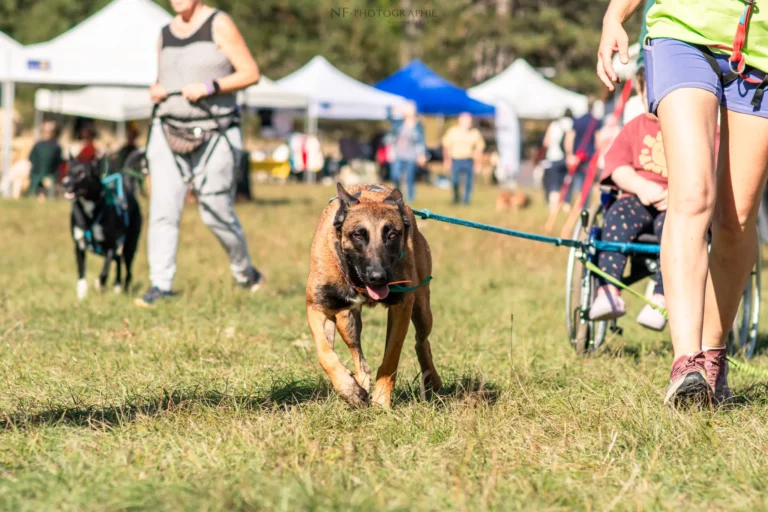 Cani-Cross - Édition 2025 - Canifun