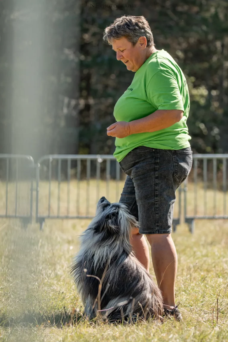 Dog Dancing - Édition 2025 - Canifun