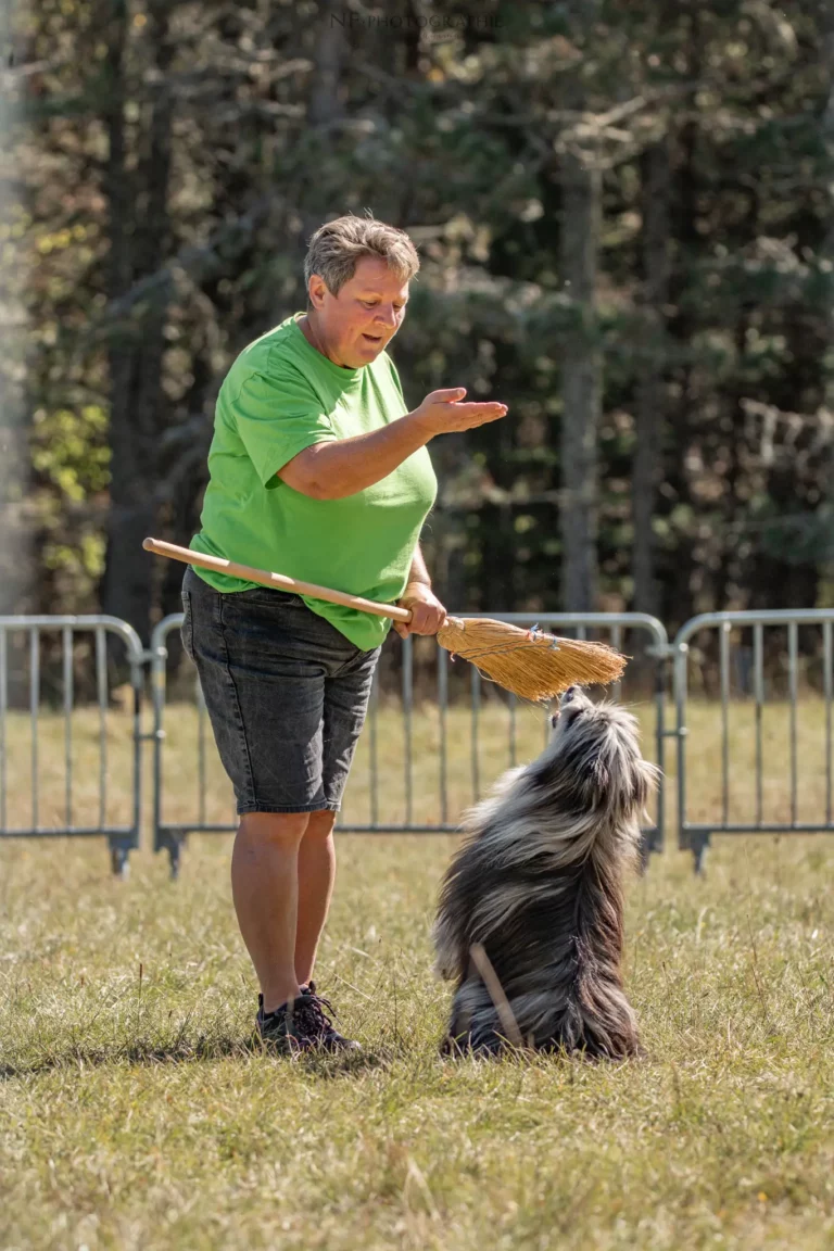 Dog Dancing - Édition 2025 - Canifun