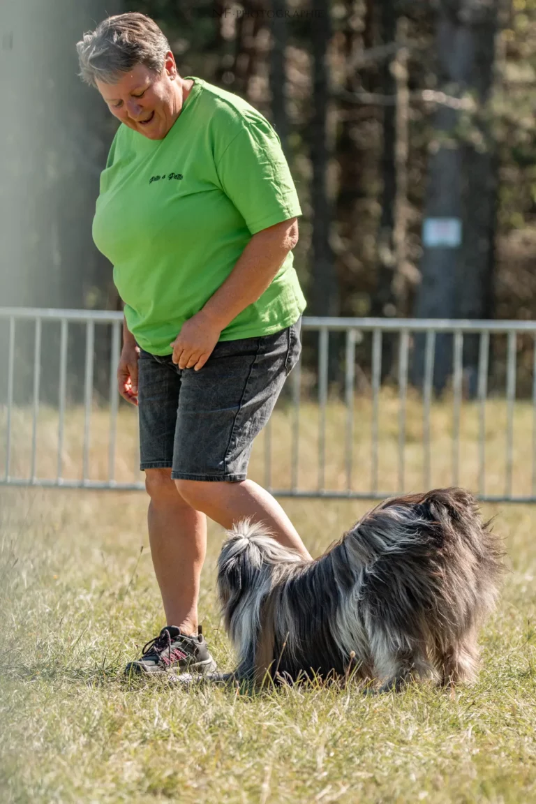 Dog Dancing - Édition 2025 - Canifun