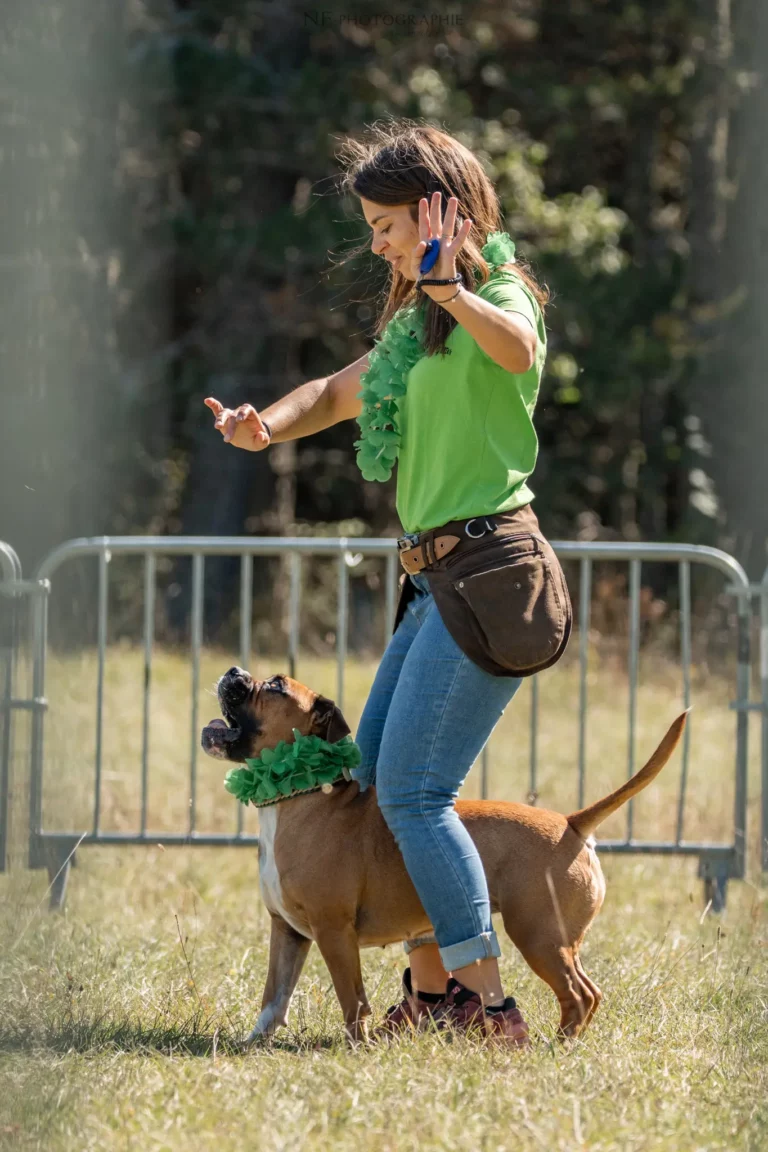 Dog Dancing - Édition 2025 - Canifun