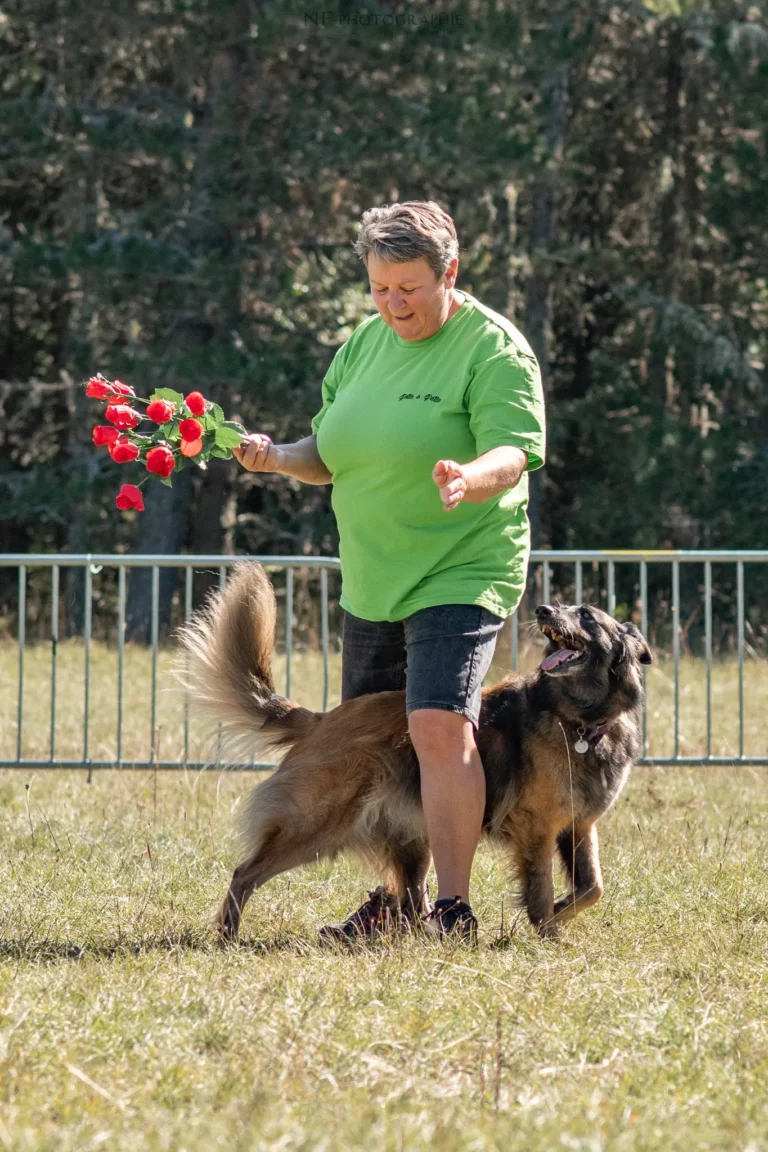 Dog Dancing - Édition 2025 - Canifun