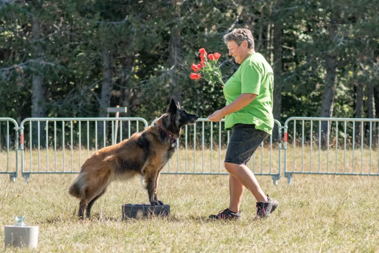 Dog Dancing - Édition 2025 - Canifun
