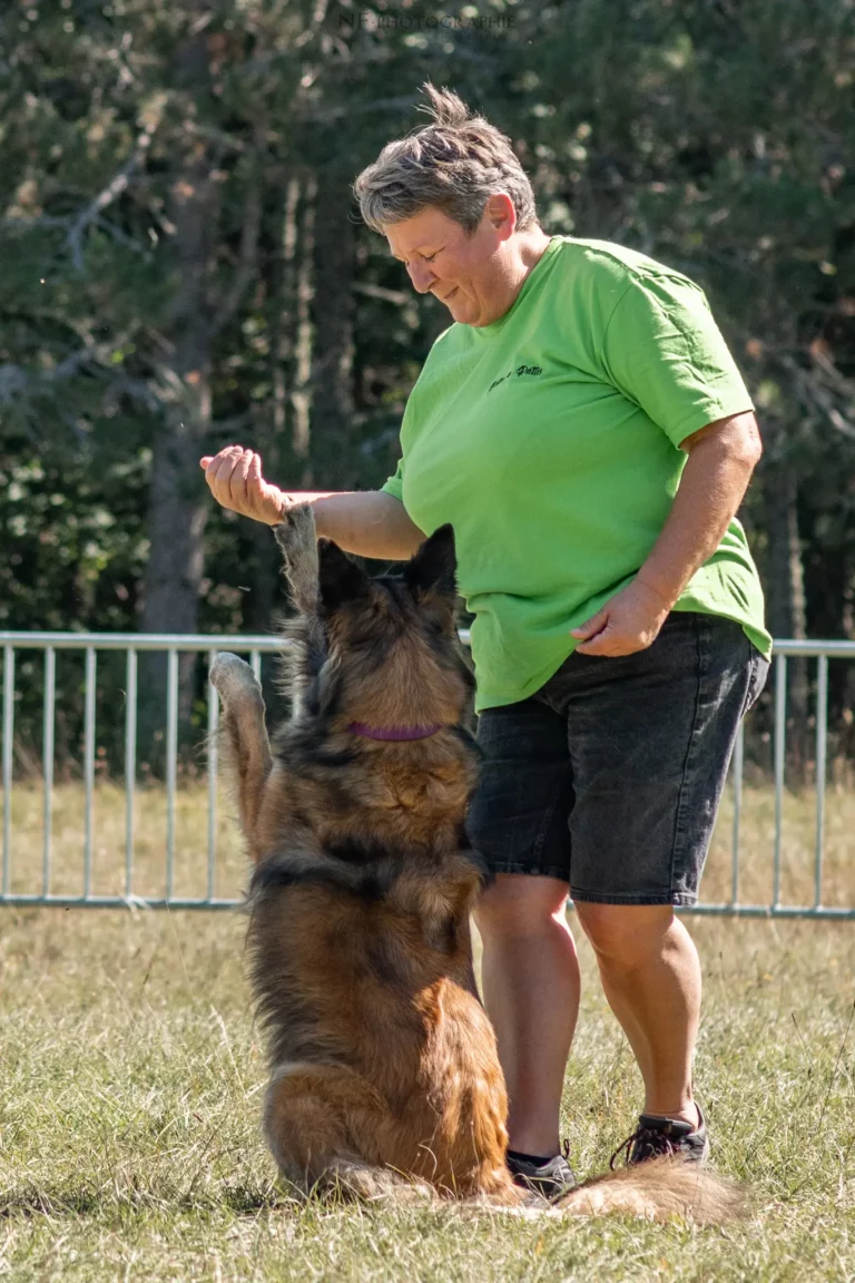 Dog Dancing - Édition 2025 - Canifun