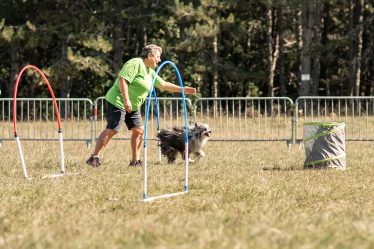 Hoopers - Édition 2025 - Canifun