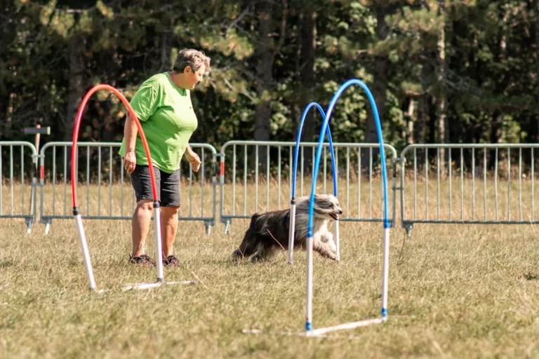 Hoopers - Édition 2025 - Canifun