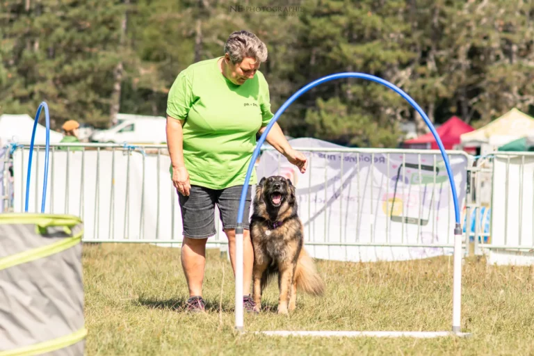Hoopers - Édition 2025 - Canifun
