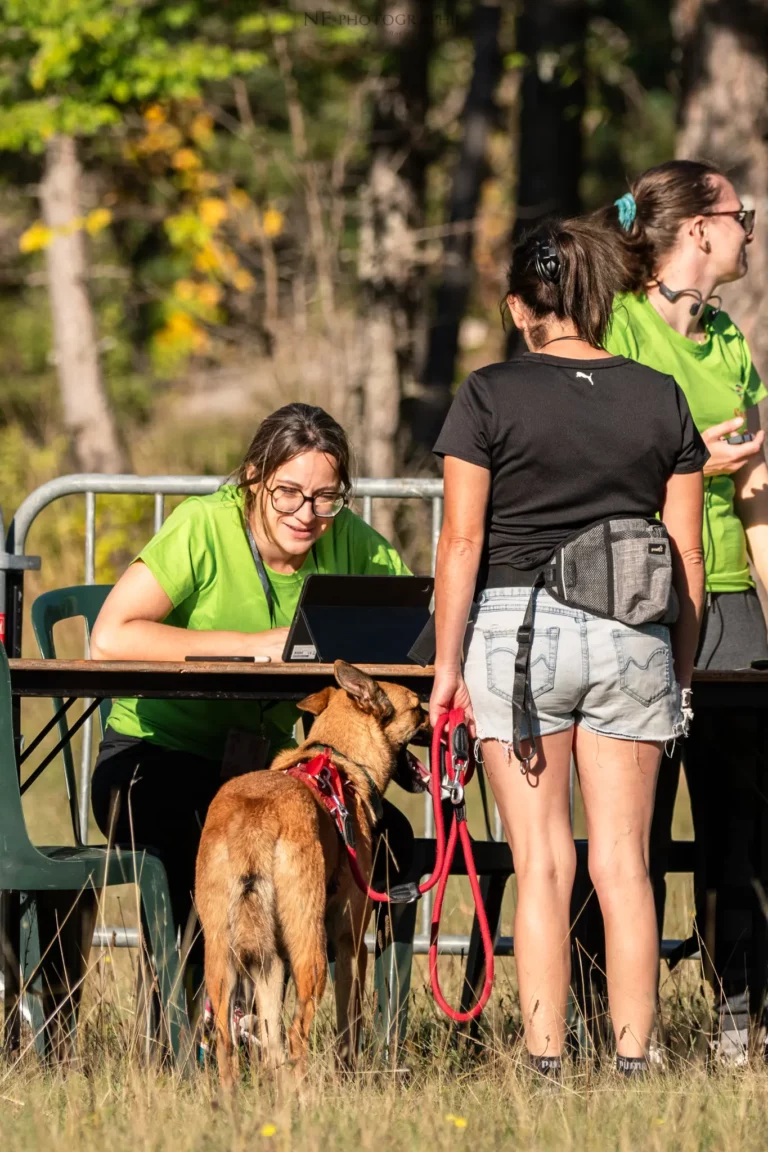 Tunnel-Cup - Édition 2025 - Canifun