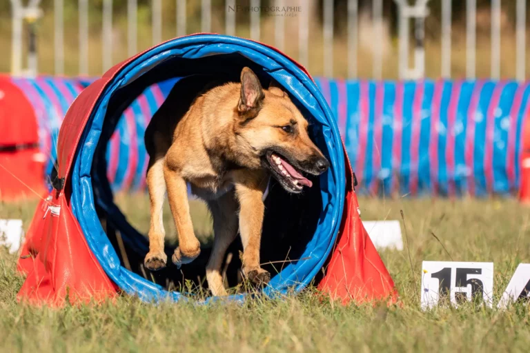 Tunnel-Cup - Édition 2025 - Canifun