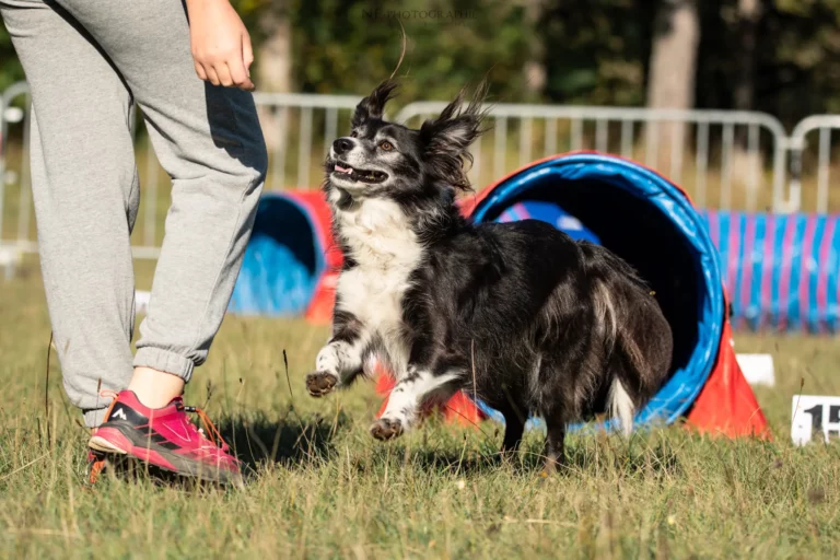 Tunnel-Cup - Édition 2025 - Canifun